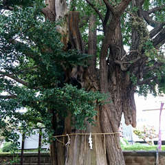 投稿日:2018年10月14日 写真