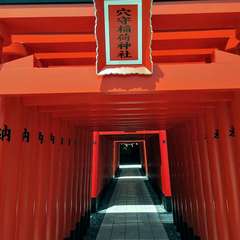 投稿日:2020年5月2日 写真