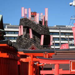 投稿日:2023年10月22日 写真