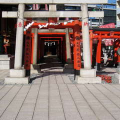 投稿日:2023年10月22日 写真