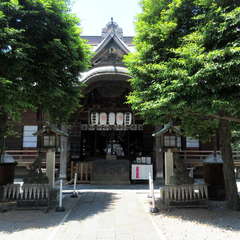 投稿日:2024年6月16日 写真