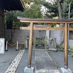 投稿日:2021年11月8日 写真