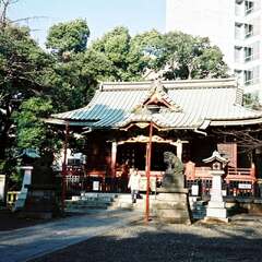 金王八幡宮(投稿日:2025年10月13日) 写真