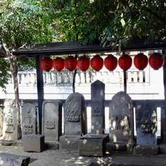 投稿日:2019年3月13日 写真