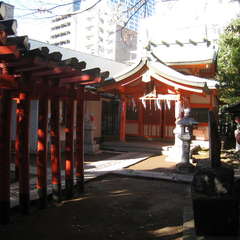 投稿日:2025年1月11日 写真