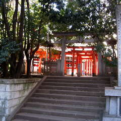 投稿日:2025年1月11日 写真