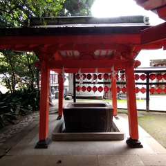 投稿日:2022年6月24日 写真