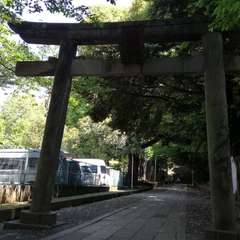 投稿日:2022年5月3日 写真