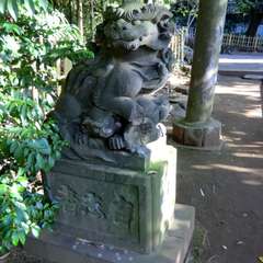 投稿日:2015年10月18日 写真