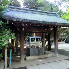 投稿日:2015年10月18日 写真