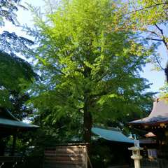 投稿日:2015年10月18日 写真