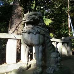 投稿日:2015年10月18日 写真