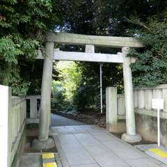 投稿日:2015年10月18日 写真