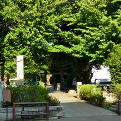 投稿日:2015年10月18日 写真