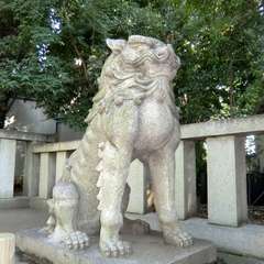 投稿日:2015年10月18日 写真