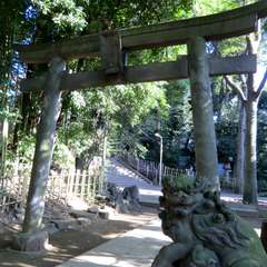 投稿日:2015年10月18日 写真