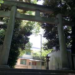 投稿日:2022年5月3日 写真