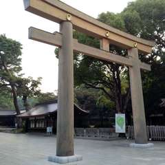 投稿日:2022年7月20日 写真