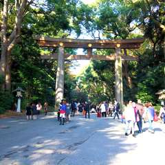 投稿日:2014年11月24日 写真