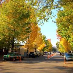 投稿日:2014年11月25日 写真