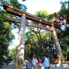 投稿日:2014年11月24日 写真