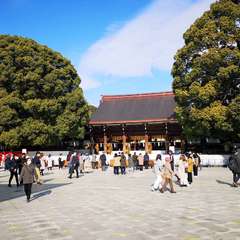 投稿日:2021年12月31日 写真