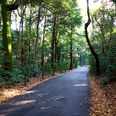 投稿日:2014年11月25日 写真