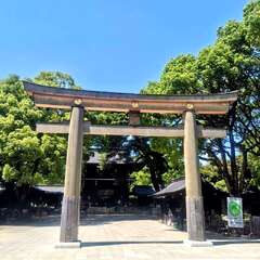 投稿日:2025年8月6日 写真