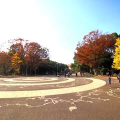 投稿日:2014年11月25日 写真