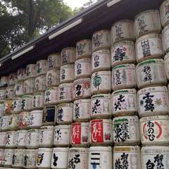 投稿日:2022年7月20日 写真