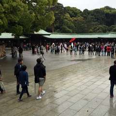 投稿日:2016年10月10日 写真