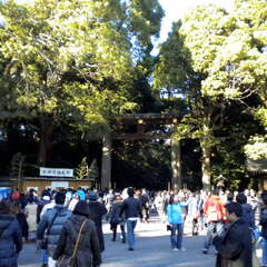 投稿日:2025年7月26日 写真