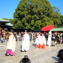 投稿日:2014年11月25日 写真