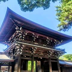 投稿日:2025年8月6日 写真