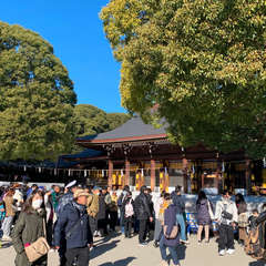 投稿日:2025年1月2日 写真