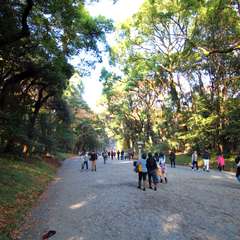 投稿日:2014年11月24日 写真