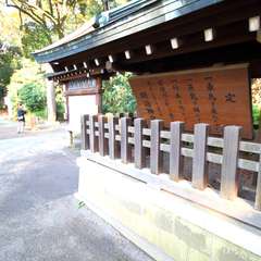 投稿日:2014年11月25日 写真