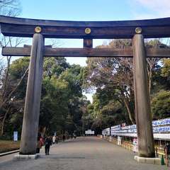 投稿日:2021年12月31日 写真