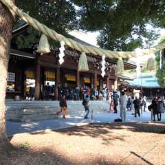 投稿日:2014年11月25日 写真