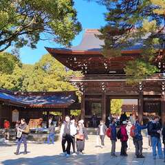 投稿日:2024年2月13日 写真