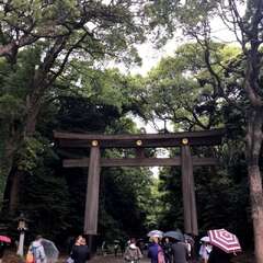 投稿日:2025年5月3日 写真