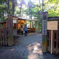 投稿日:2014年11月24日 写真