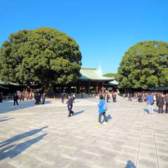 投稿日:2014年11月24日 写真