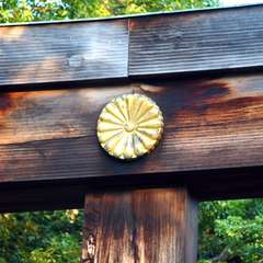 投稿日:2014年11月25日 写真