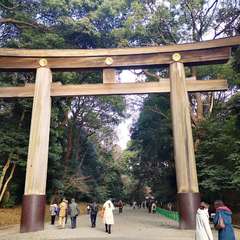 投稿日:2021年12月31日 写真