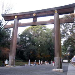 投稿日:2025年1月14日 写真