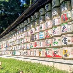 投稿日:2025年8月6日 写真