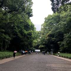 投稿日:2025年5月3日 写真