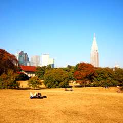 投稿日:2014年11月25日 写真