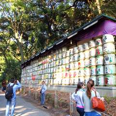 投稿日:2014年11月24日 写真